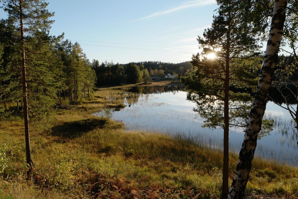 Ferienwohnung Bjorkeskogen Mjavatn Exterior foto